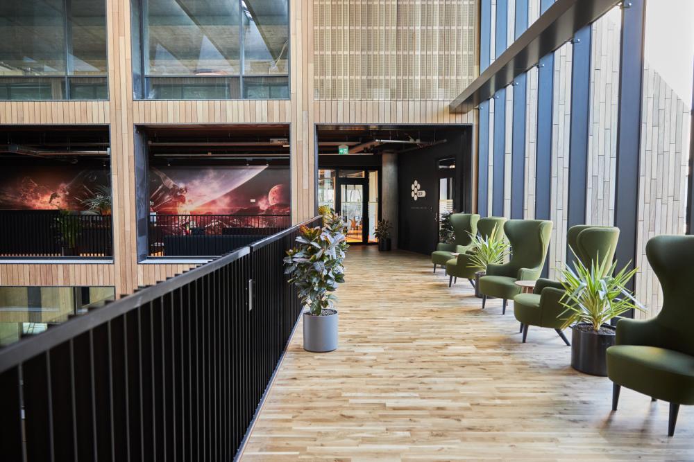 Chêne - Le parquet 2 frises